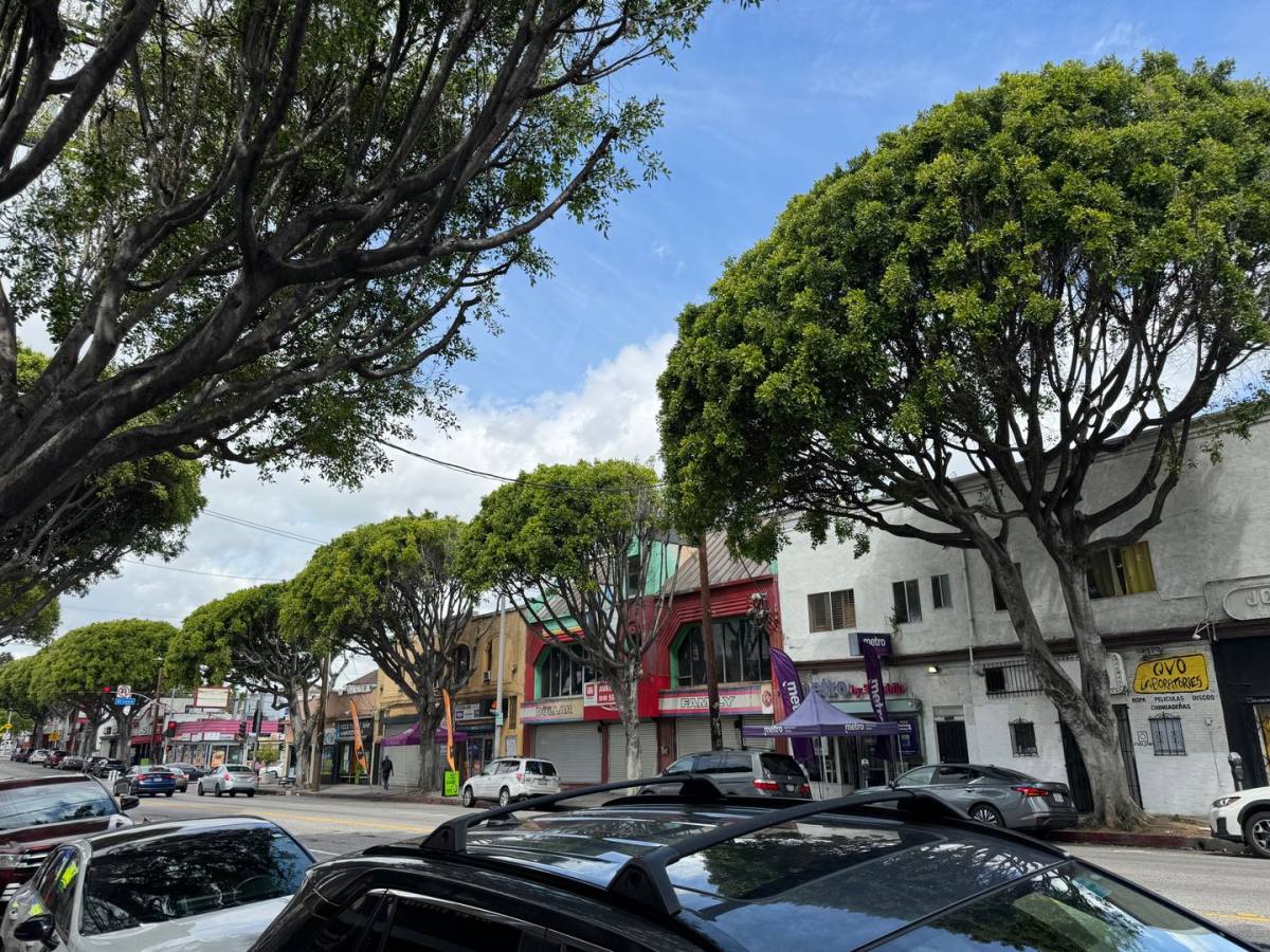 Apartment for rent at 2116-2118 E Cesar Chavez Ave, Los Angeles, CA 90033