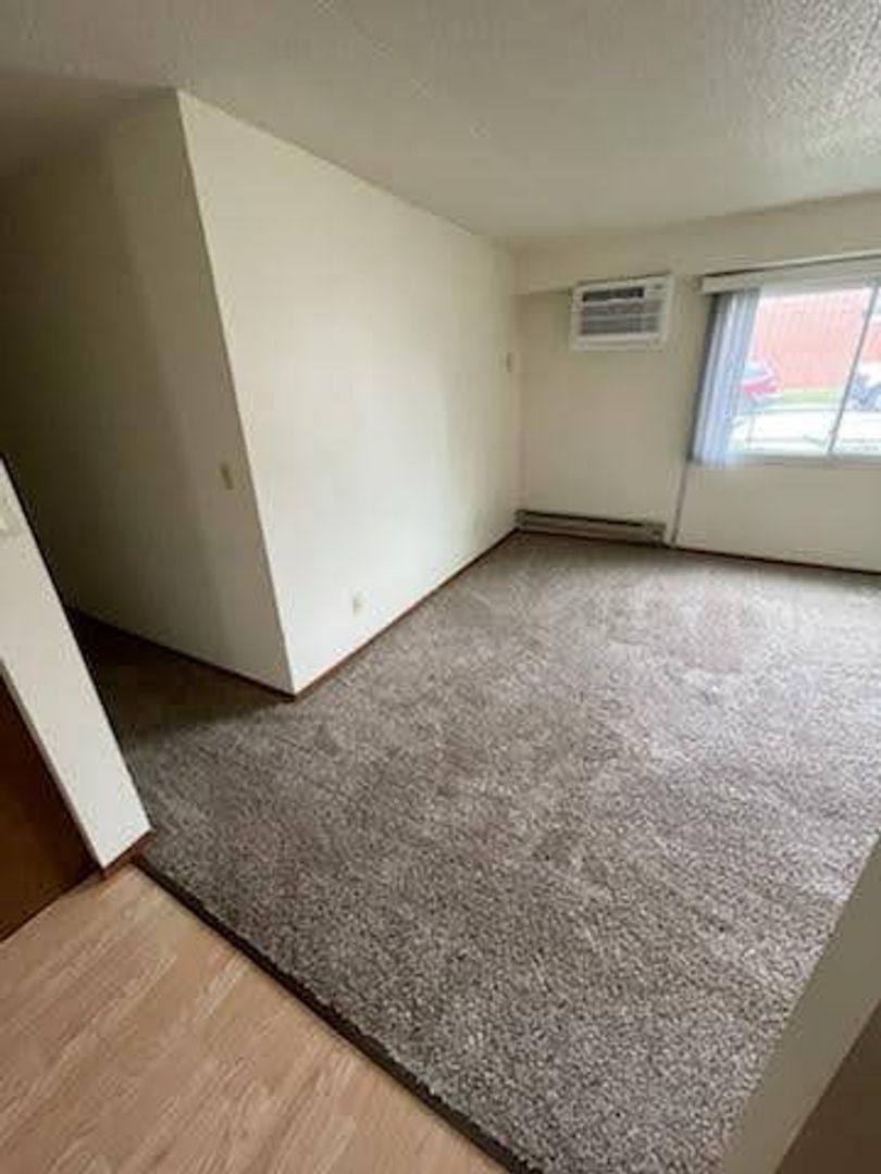 Apartment for rent at 201 1st Ave #5, Baraboo, WI 53913