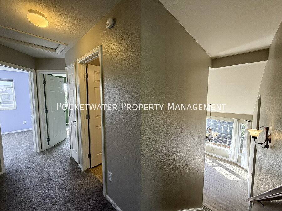 House for rent at 2127 Mountain Iris Dr, Erie, CO 80516