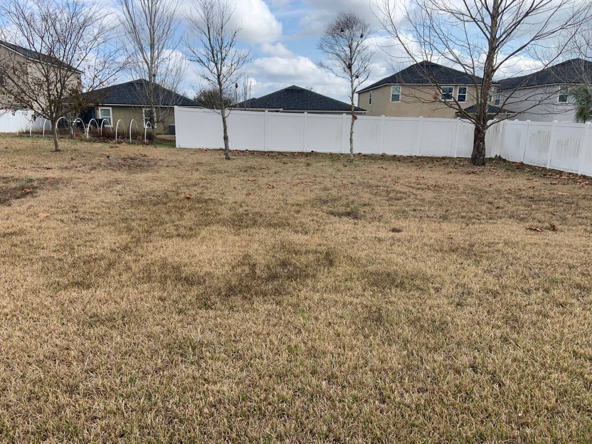 House for rent at 1897 High Prairie Lane, Middleburg, FL 32068