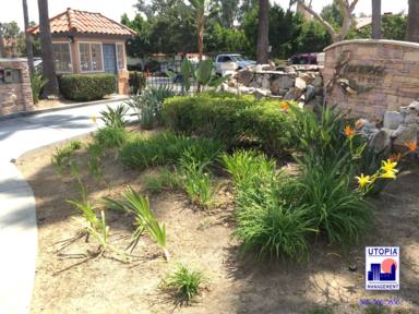 Condo for rent at 7120 Shoreline Dr, San Diego, CA 92122