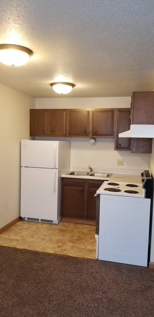 Apartment for rent at 218 21 St NW, Owatonna, MN 55060