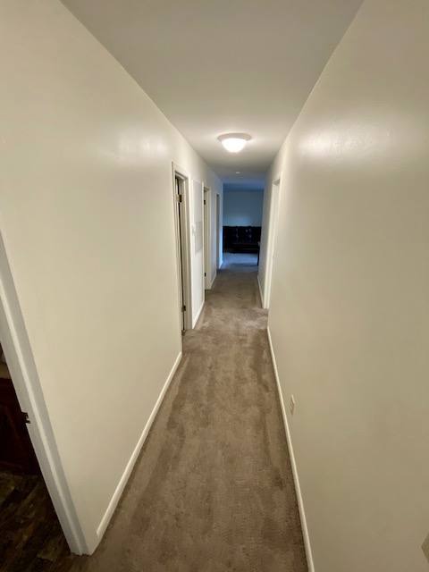 Apartment for rent at 220 Elm St, Clemson, SC 29631