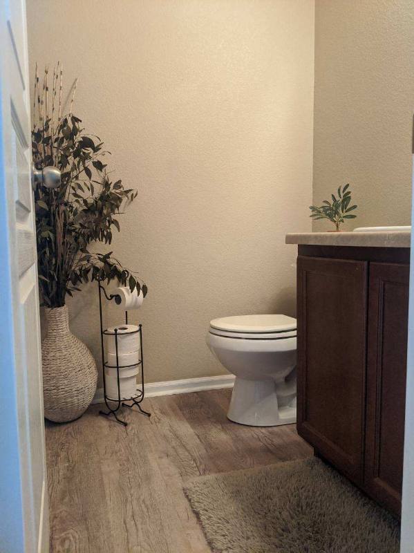 House for rent at 77 Audubon Dr, Colorado Springs, CO 80910