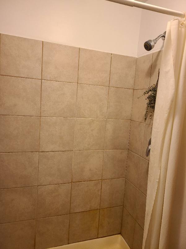 House for rent at 2024 W Chicago Ave #1F, Chicago, IL 60622