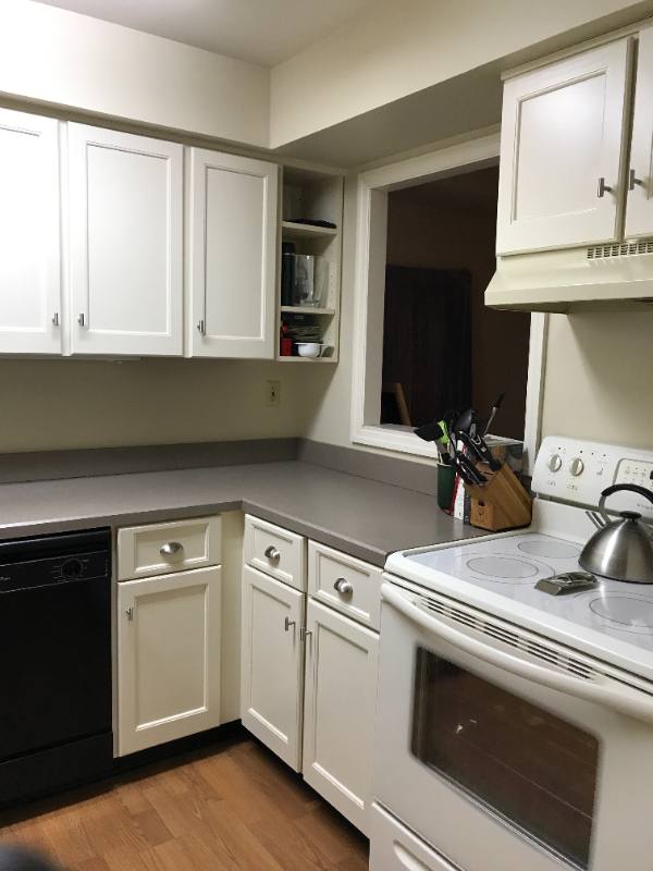 Townhouse for rent at 8 Rex Ave #11, Philadelphia, PA 19118