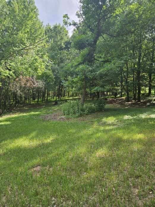Townhouse for rent at 21424 7th St NE, Cedar, MN 55011