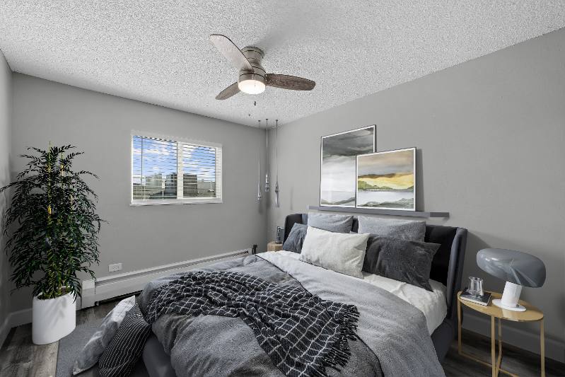 Apartment for rent at 78 W Walnut St #202, Brighton, CO 80601