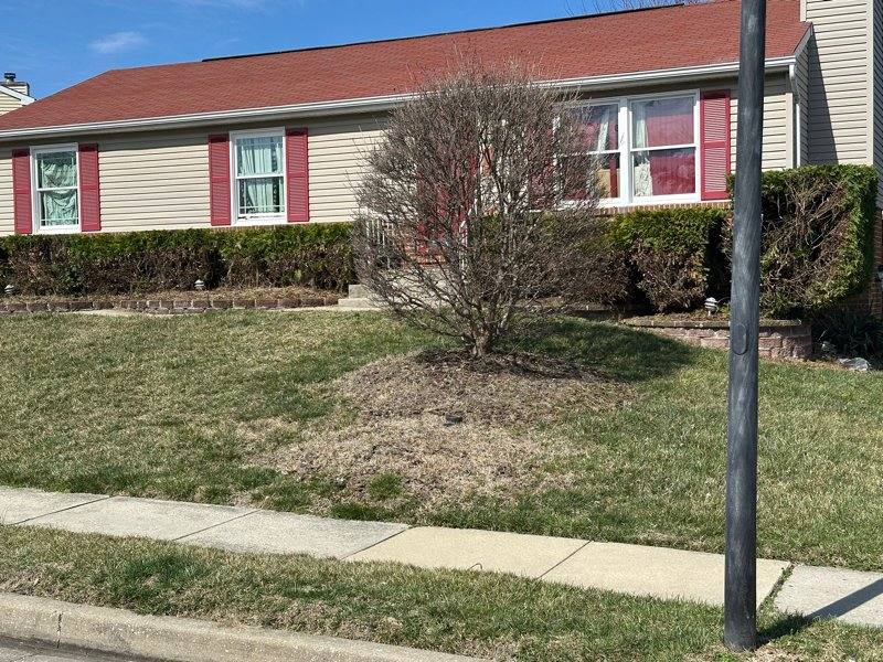 House for rent at 3128 Ripple Rd, Windsor Mill, MD 21244