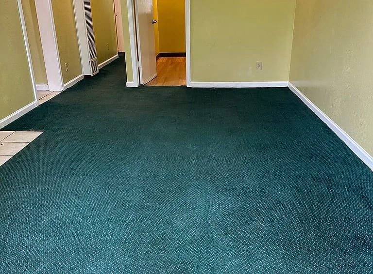 House for rent at 529 Flood Ave, San Francisco, CA 94112