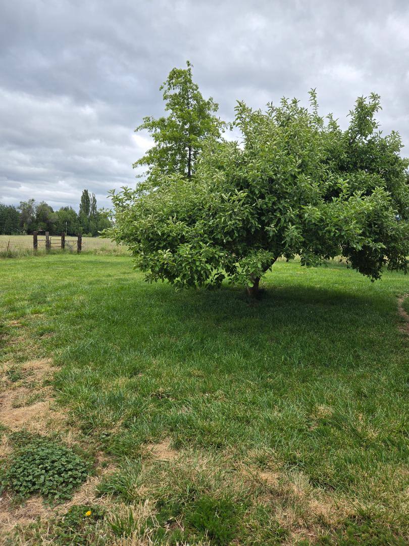 House for rent at 12817 Highway 66, Klamath Falls, OR 97601