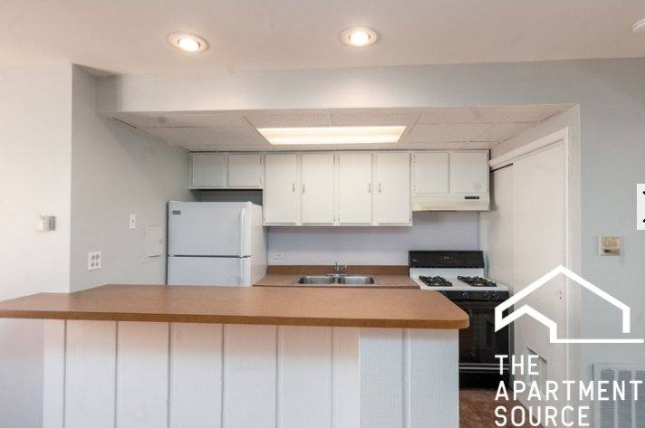 Apartment for rent at 663 W Melrose St #4B, Chicago, IL 60657