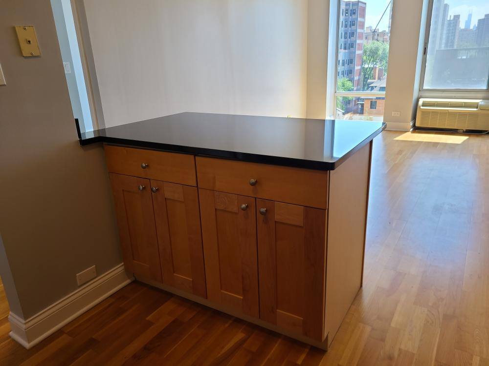 Apartment for rent at 450 W Briar Place #7A, Chicago, IL 60657