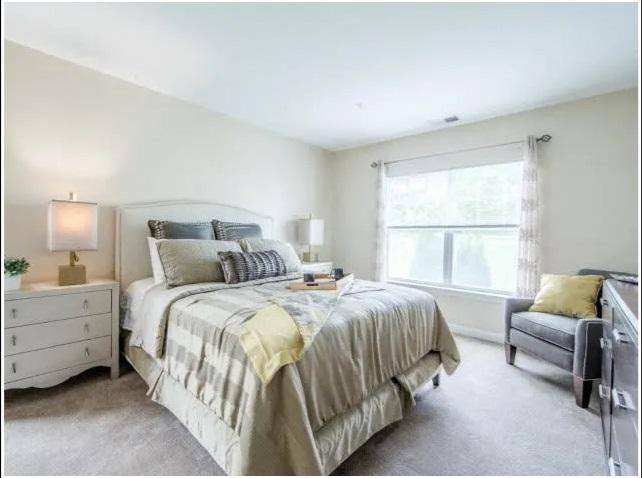 Apartment for rent at 19 Boxwood Dr, Littleton, MA 01460