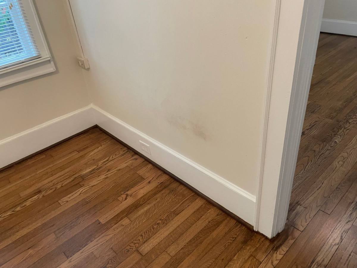 Apartment for rent at 410 Waccamaw Ave, Columbia, SC 29205