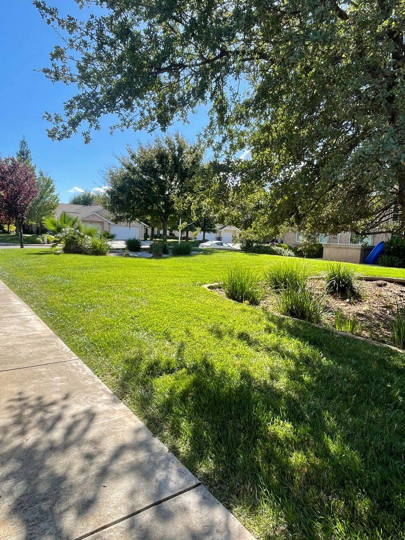 Townhouse for rent at 1278 Mighty Oak Lane, Redding, CA 96002