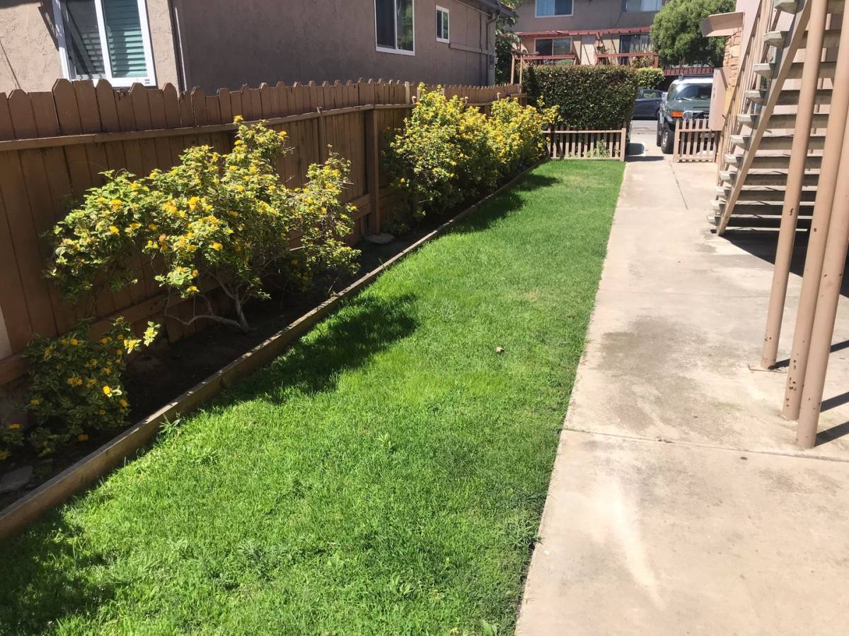 Apartment for rent at 3035 Macaulay St, San Diego, CA 92106