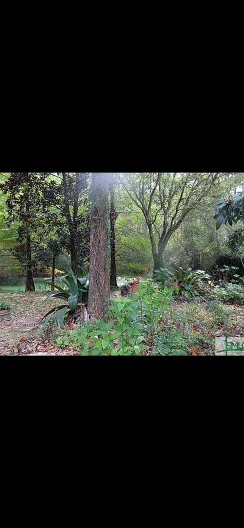 House for rent at 497 Rice Gate Dr, Richmond Hill, GA 31324