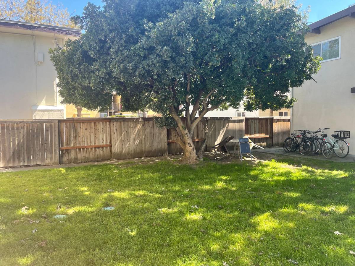 Apartment for rent at 515 E 8th St, Davis, CA 95616