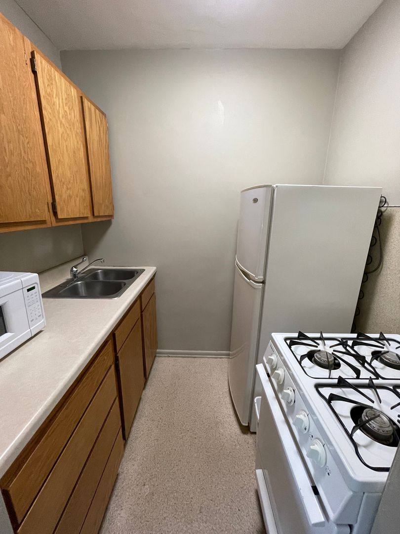 Apartment for rent at 217 S Spring Ave, Sioux Falls, SD 57104