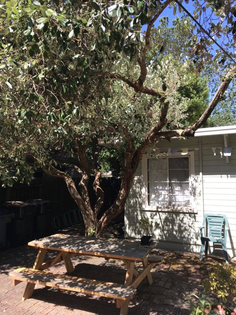 Apartment for rent at 836-838 Douglass Ave, Davis, CA 95616