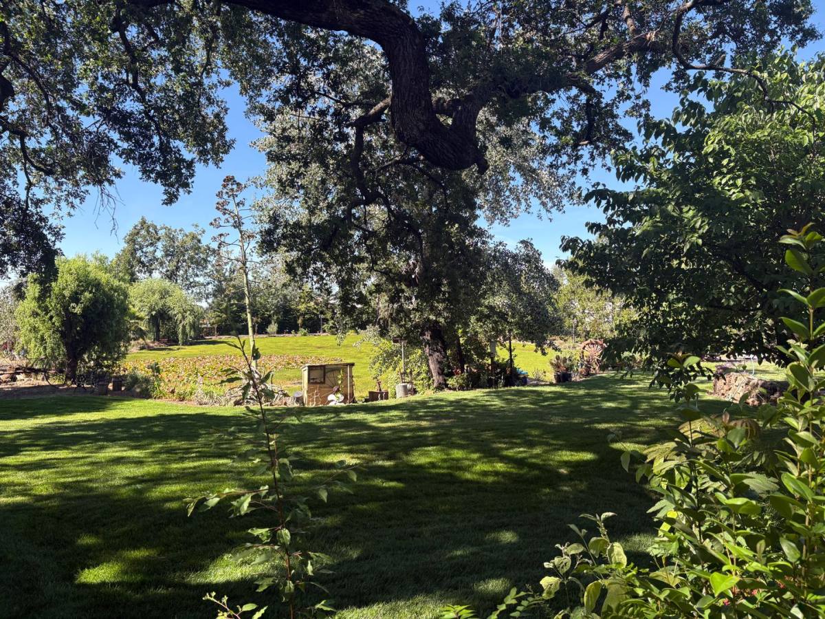 House for rent at 5703 Chapel Dr, Paradise, CA 95969