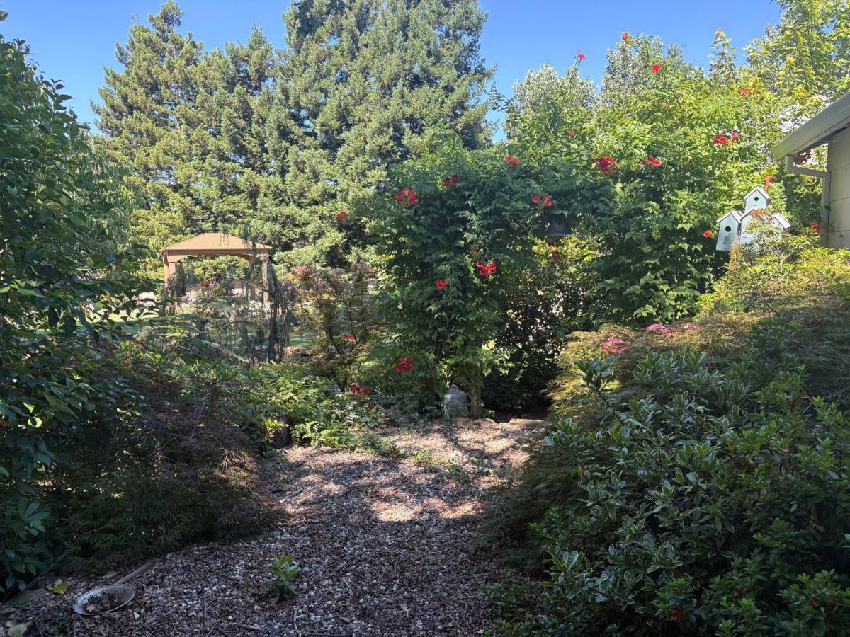 House for rent at 5703 Chapel Dr, Paradise, CA 95969