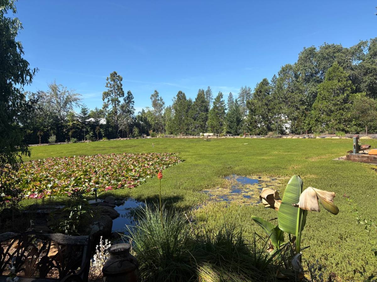 House for rent at 5703 Chapel Dr, Paradise, CA 95969