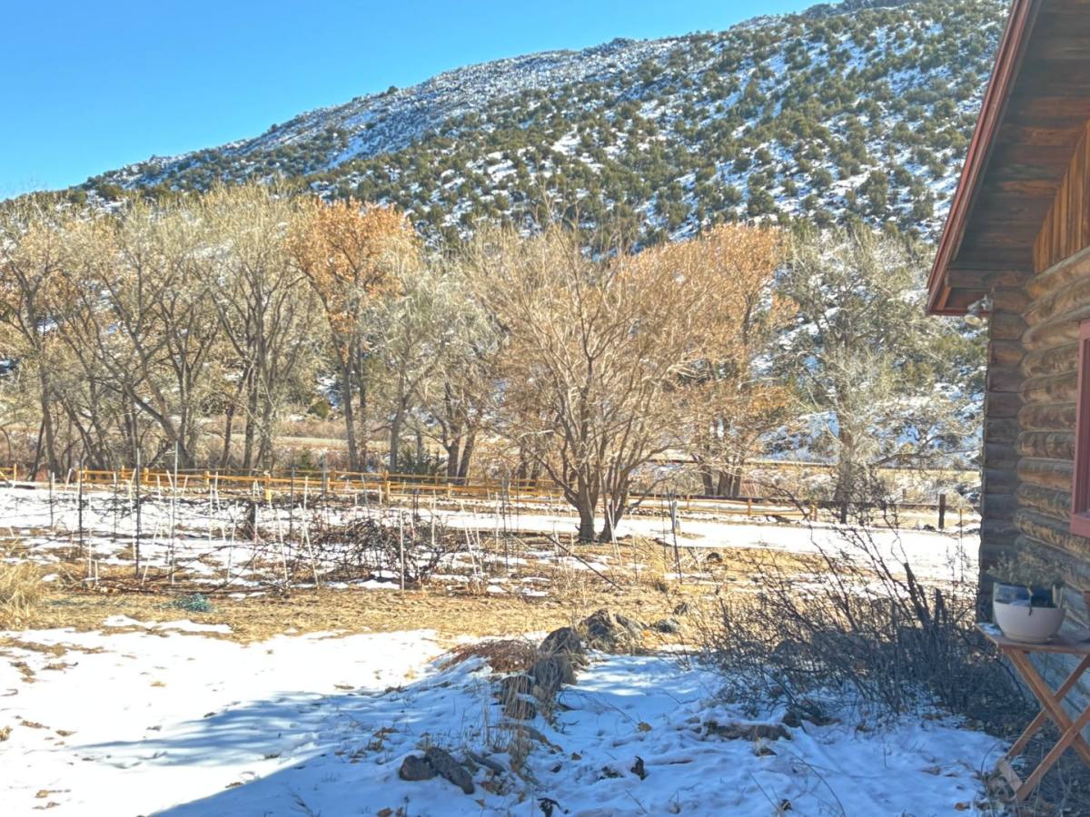 Apartment for rent at 1101 Private Dr, Embudo, NM 87531