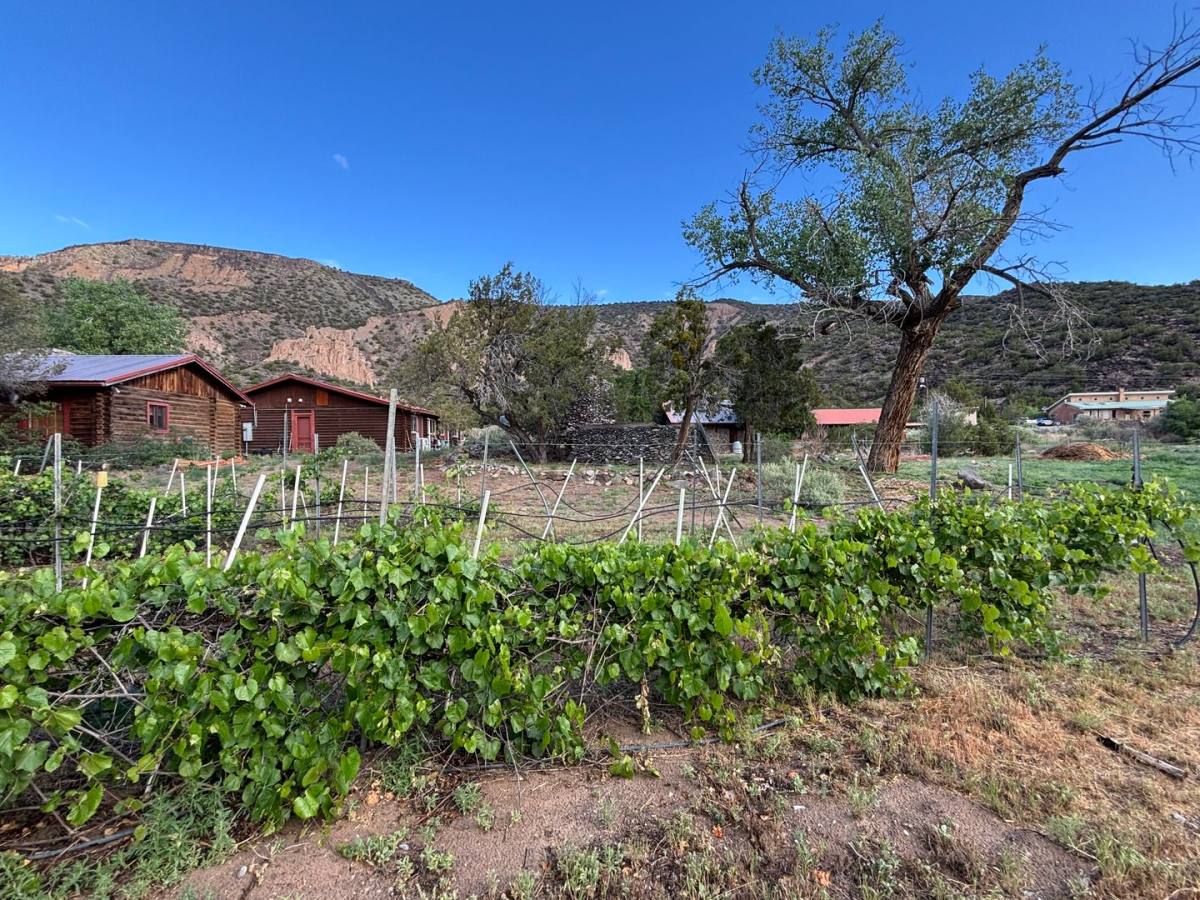 Apartment for rent at 1101 Private Dr, Embudo, NM 87531