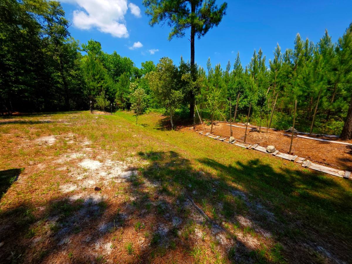 House for rent at 200 Sweet Gum Lane, Richlands, NC 28574
