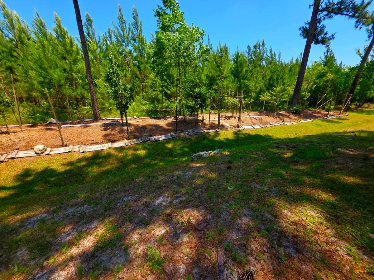 House for rent at 200 Sweet Gum Lane, Richlands, NC 28574