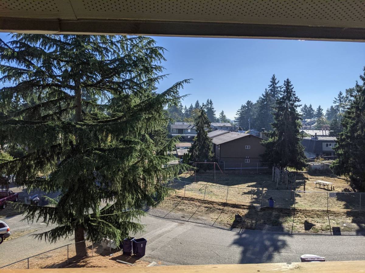 Apartment for rent at 3925 Mason Loop Rd, Tacoma, WA 98409