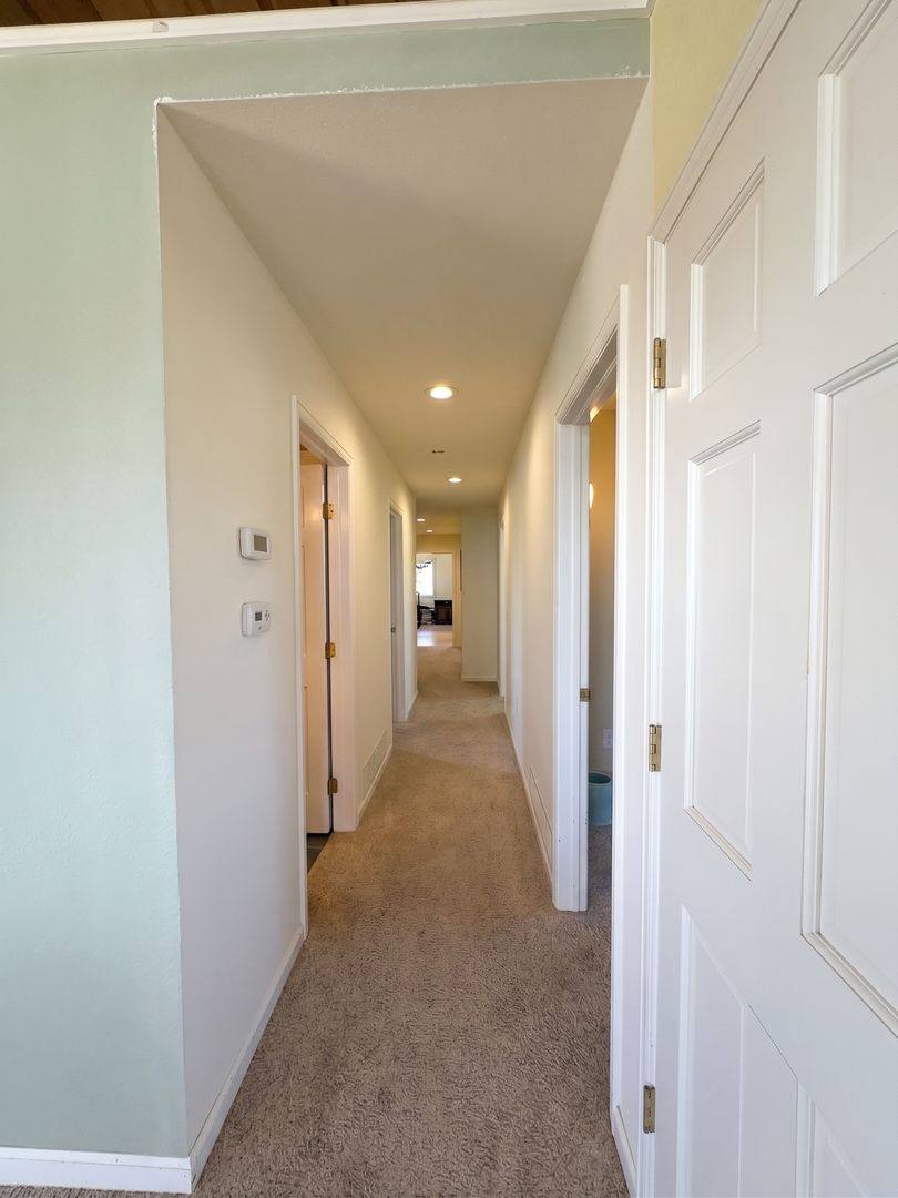 House for rent at 119 Bristlecone Lane, Fairplay, CO 80440