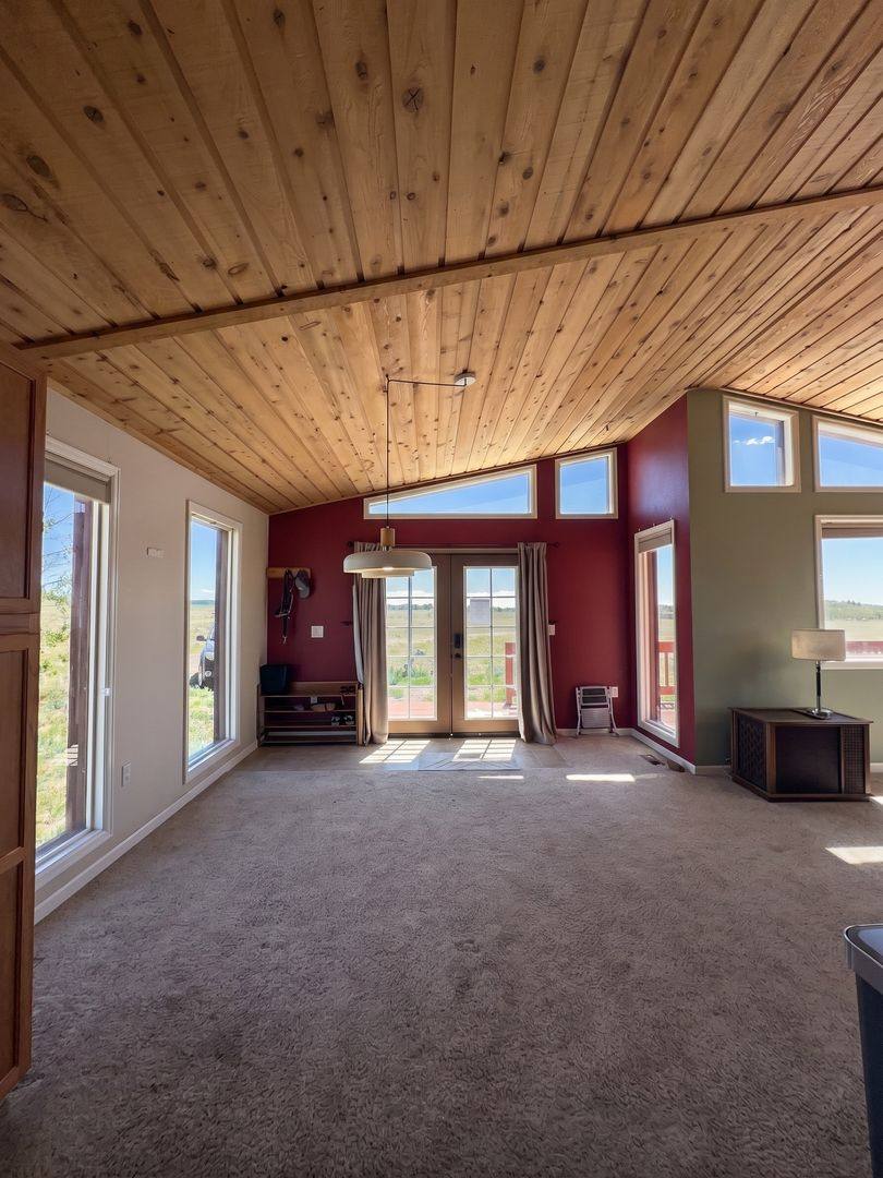 House for rent at 119 Bristlecone Lane, Fairplay, CO 80440