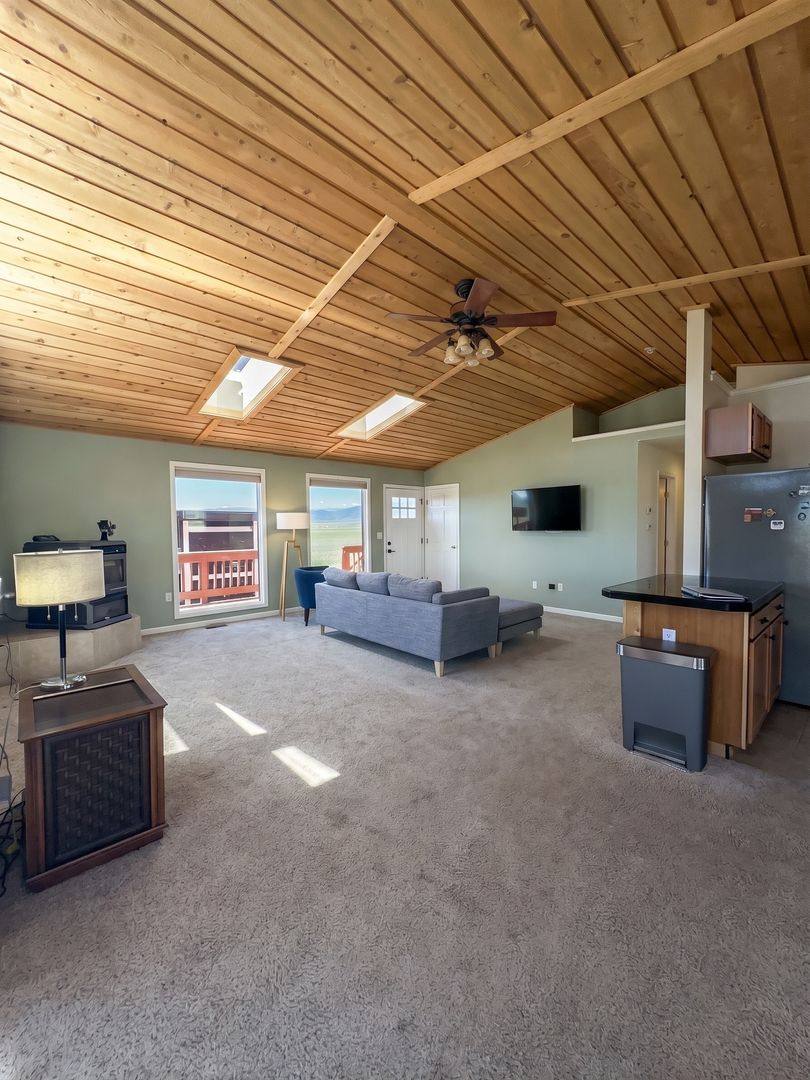 House for rent at 119 Bristlecone Lane, Fairplay, CO 80440