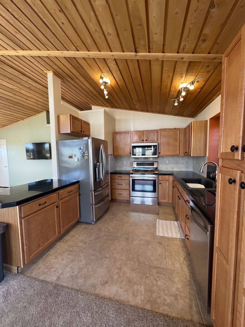 House for rent at 119 Bristlecone Lane, Fairplay, CO 80440