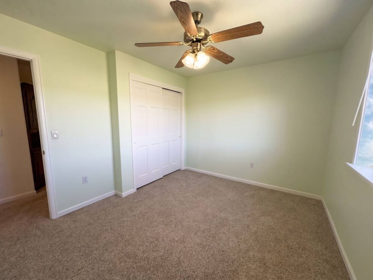House for rent at 119 Bristlecone Lane, Fairplay, CO 80440