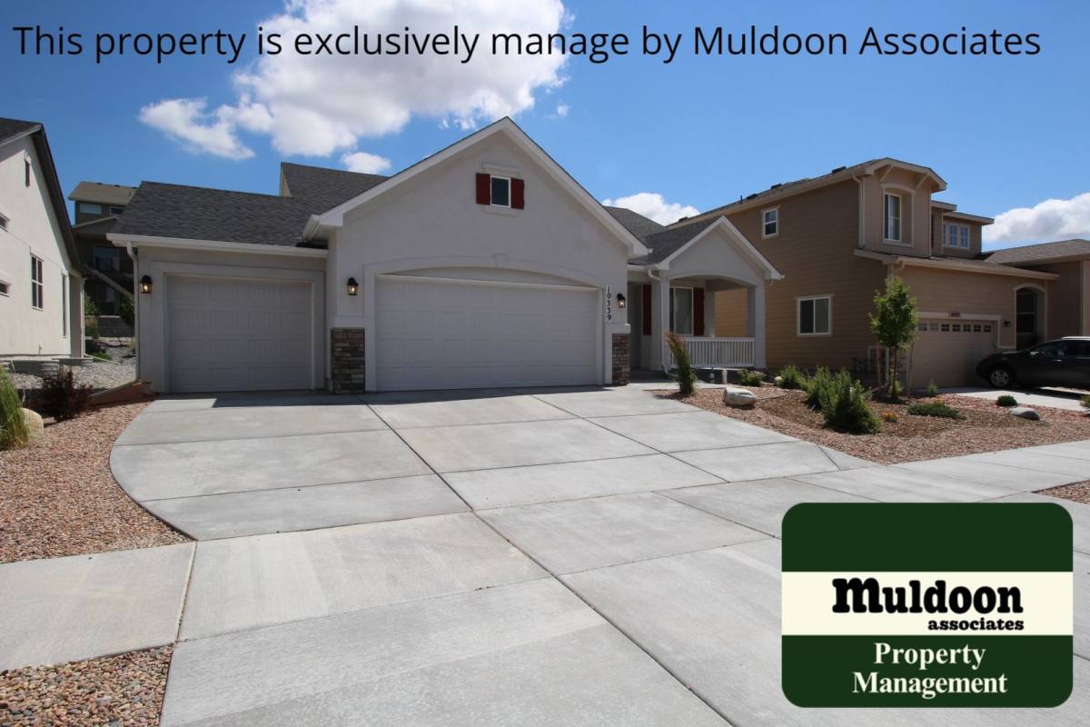 House for rent at 10339 Finn St, Colorado Springs, CO 80924