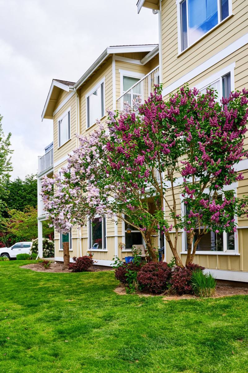 Apartment for rent at 2363 - 2375 Main St, Ferndale, WA 98248