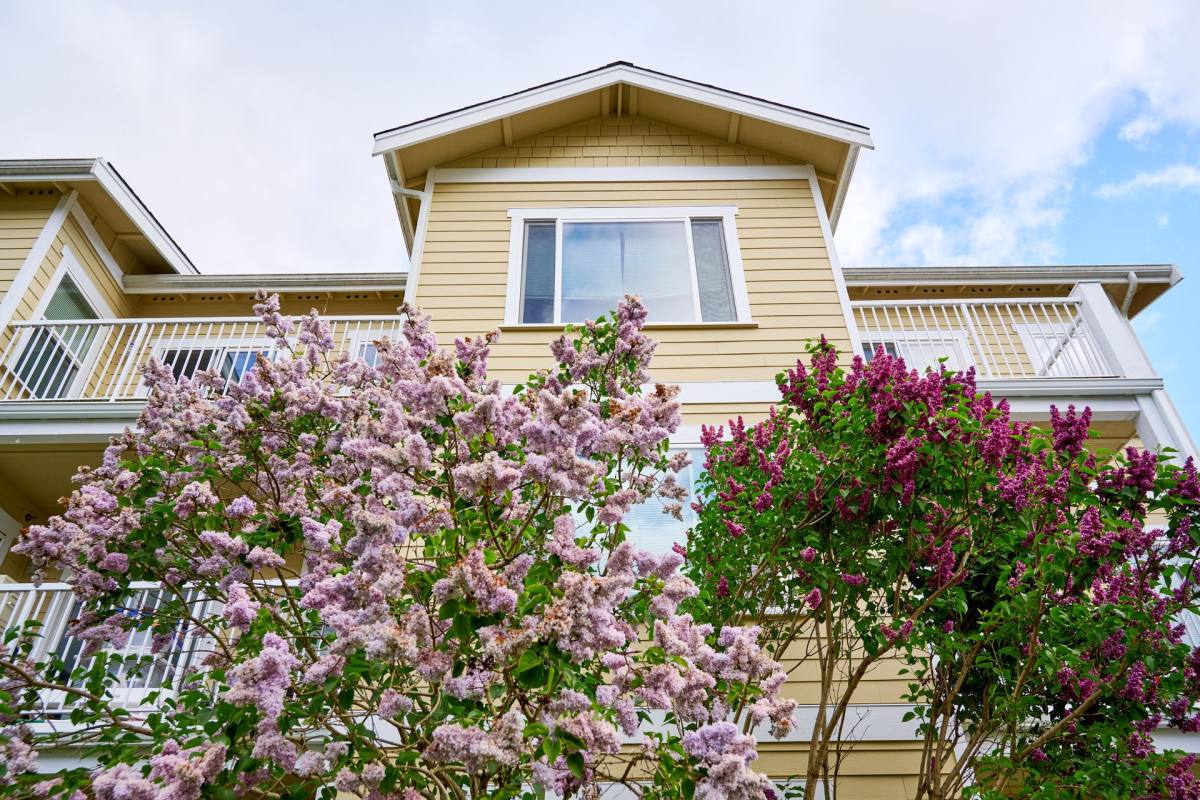 Apartment for rent at 2363 - 2375 Main St, Ferndale, WA 98248