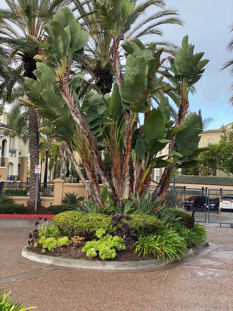 Condo for rent at 12360 Carmel Country Rd #B-108, San Diego, CA 92130