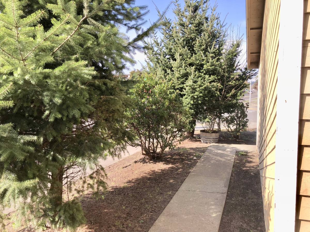 Apartment for rent at 902 28th St NE, Auburn, WA 98002