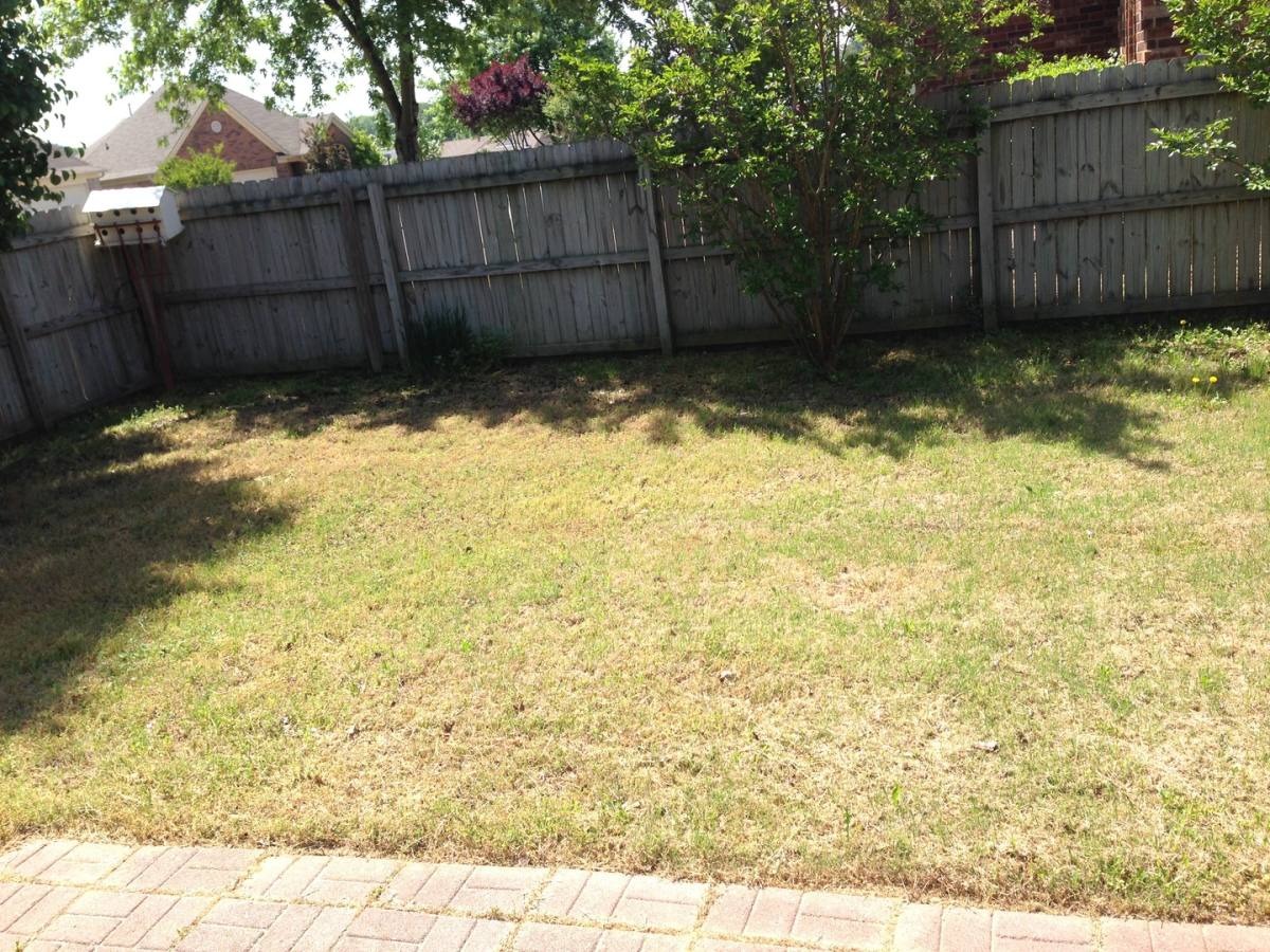 House for rent at 1098 Breezy Valley, Cordova, TN 38016