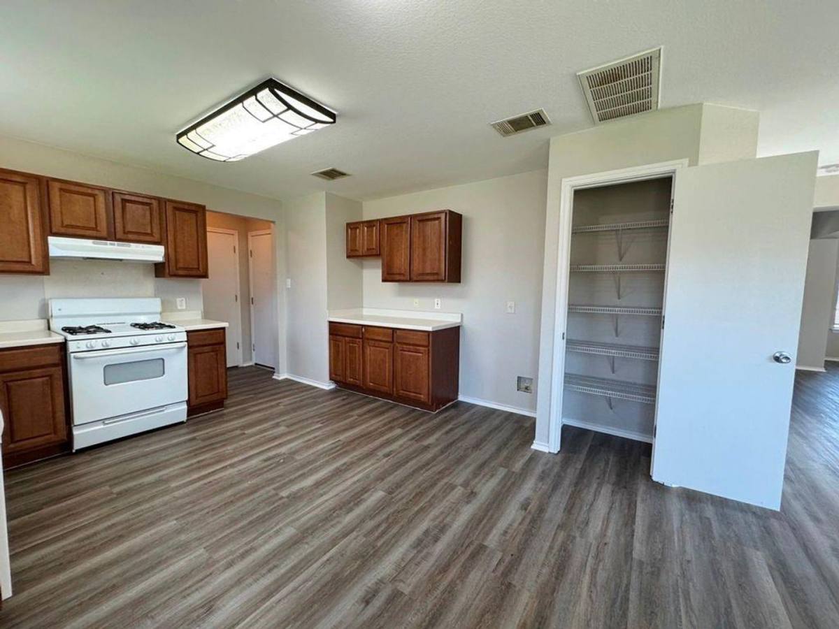 House for rent at 119 Peppergrass Cove, Kyle, TX 78640