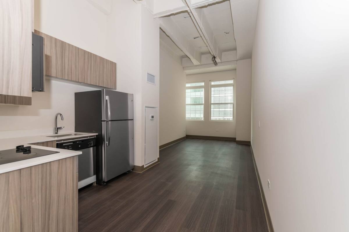 820 S Michigan Ave, Chicago, IL 60605 - Apartment for Rent