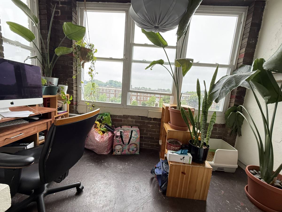 Apartment for rent at 1638 Commonwealth Ave, Brighton, MA 02135