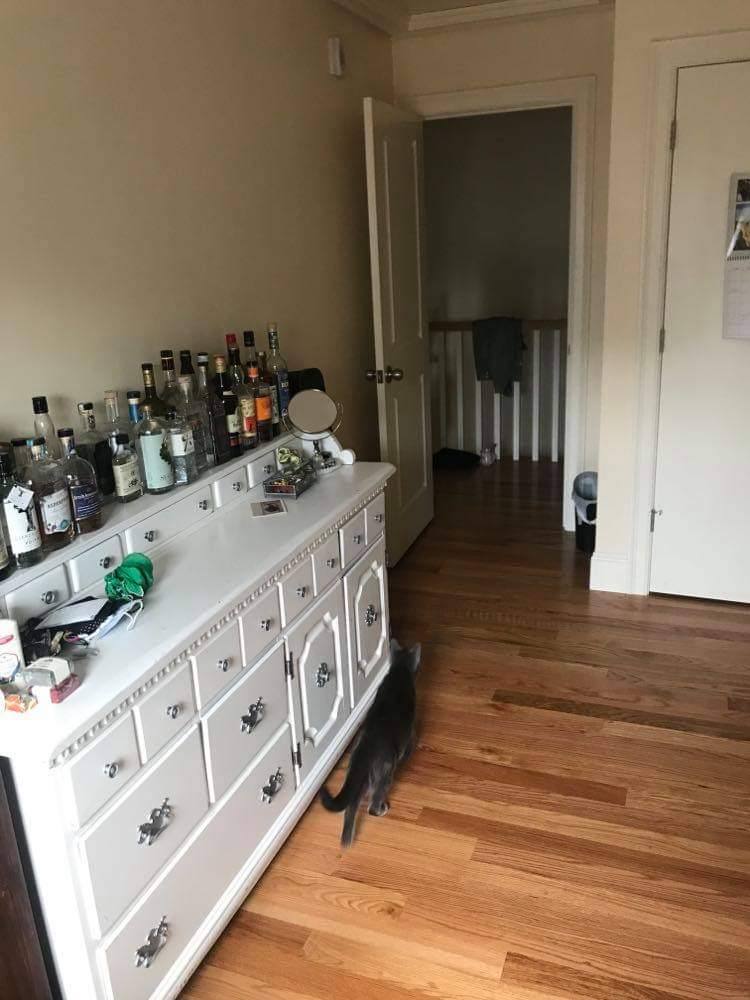 Apartment for rent at 7 Sparhawk St #2, Brighton, MA 02135