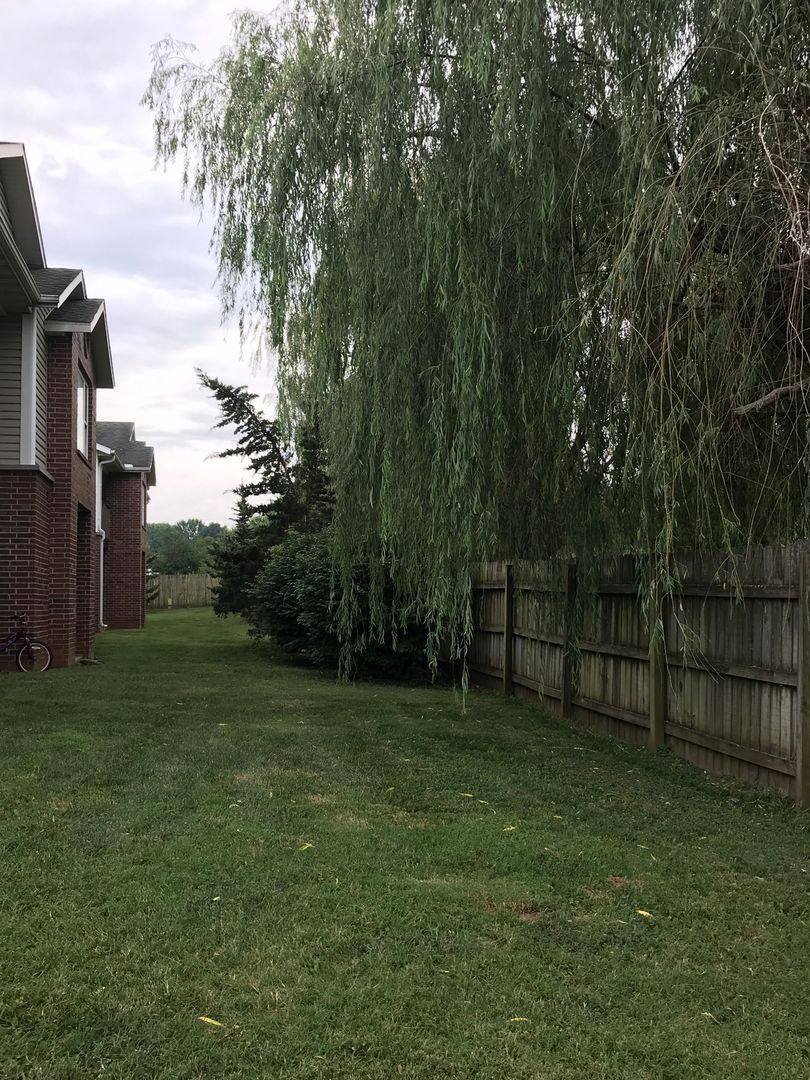 Apartment for rent at 223 N Cedar Ave, Republic, MO 65738