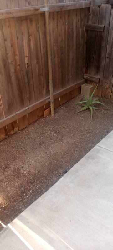 Apartment for rent at 1141 Persimmon Ave, El Cajon, CA 92021